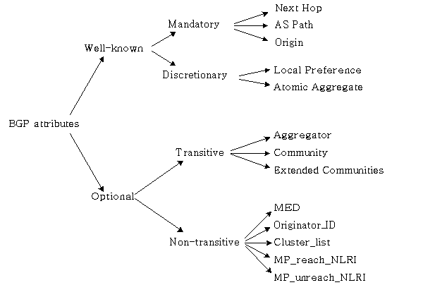 BGP attributes